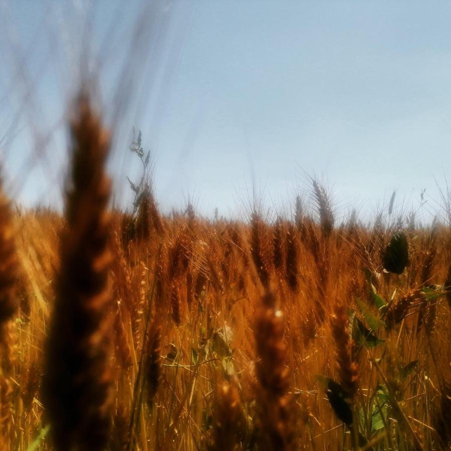 Casetto Rosso San Lazzaro di Savena Bagian luar foto